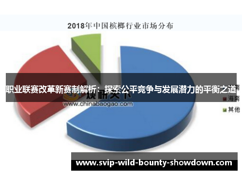 职业联赛改革新赛制解析：探索公平竞争与发展潜力的平衡之道